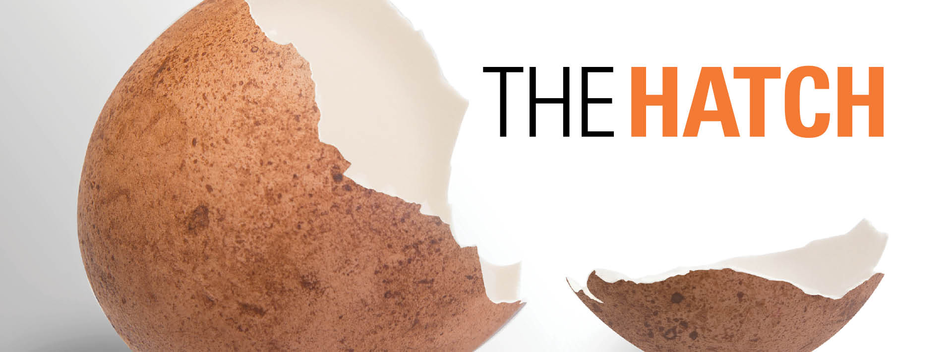 Bgsu Hatch Program BG Hatch | Toledo Region